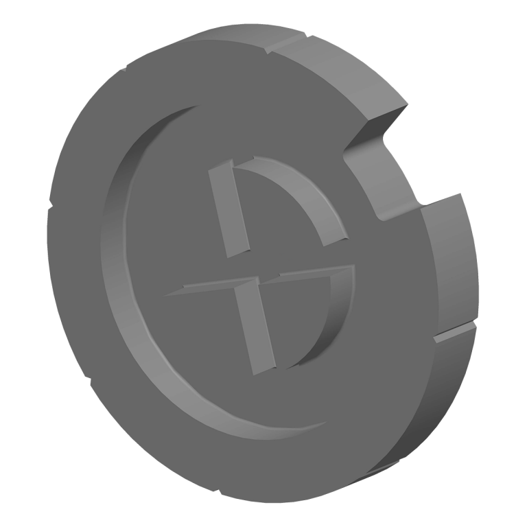 GFD Schaltscheibe aus PCTFE